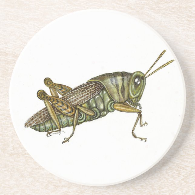 Green Grasshopper Paper Coaster (Front)