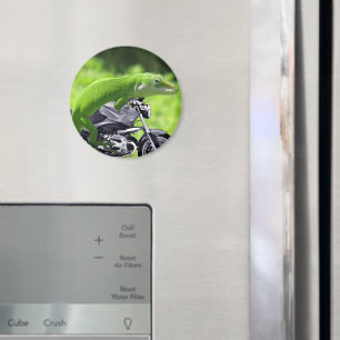 Green Hawaiian Gecko Rider Magnet