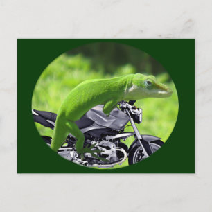 Green Hawaiian Gecko Rider Postcard