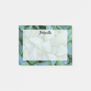 Green Haworthia Succulent Plant Custom Stickies Post-it Notes