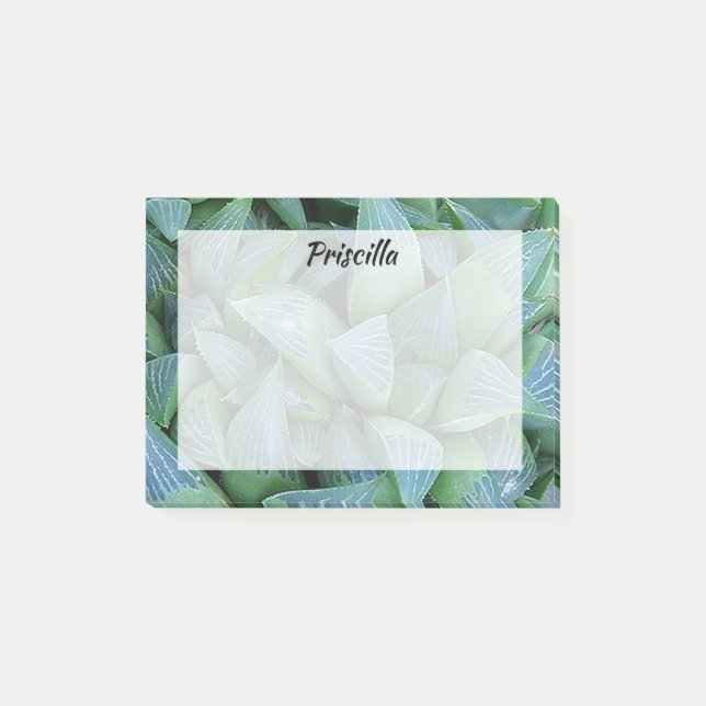 Green Haworthia Succulent Plant Custom Stickies Post-it Notes (Front)