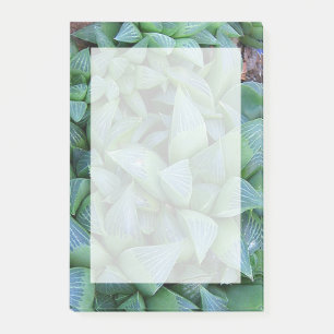 Green Haworthia Succulent Plant Stickies Post-it Notes