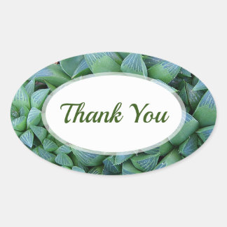 Green Haworthia Succulent Plant Thank You Sticker