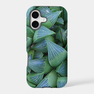 Green Haworthia Succulent Plants iPhone Case