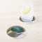 Green Headed Mallard Duck Photo Sandstone