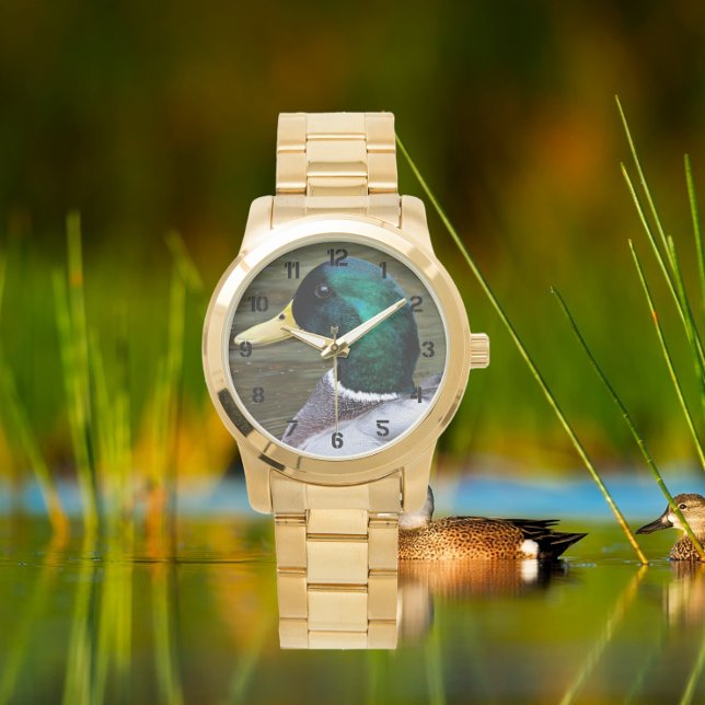 Green Headed Mallard Duck Photo Watch (Creator Uploaded)