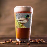Green Headed Mallard Duck Wildlife Photo