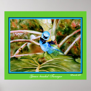 Green-headed Tanager Fine Art Poster