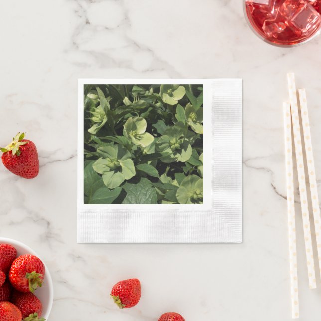 Green Hellebore Napkin (Insitu)