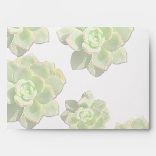 Green Hen and Chicks Succulents Envelopes (Front)