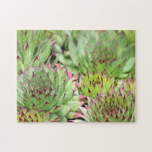 Green Hen and Chicks Succulents Jigsaw Puzzle (Horizontal)