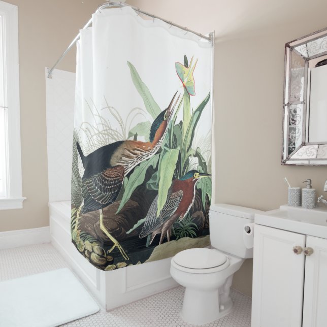 Green Heron Birds Audubon Wildlife Shower Curtain (In Situ)