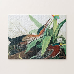 Green Heron by John James Audubon Jigsaw Puzzle