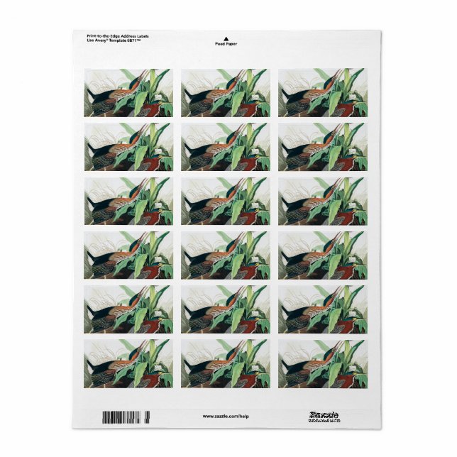 Green Heron by John James Audubon Label (Full Sheet)