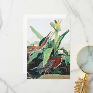 Green Heron by John James Audubon Thank You Card