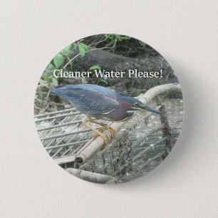 Green Heron Ecology button
