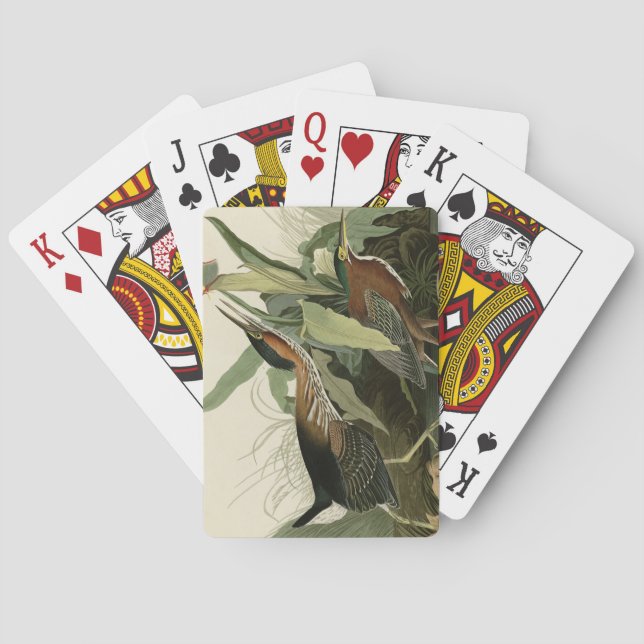 Green Heron, John James Audubon's Birds of America Playing Cards (Back)
