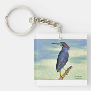 Green Heron Key Ring