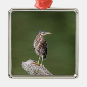 Green Heron on a log Metal Tree Decoration