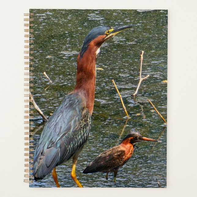Green Heron Reusable Grocery Bag Planner (Front)