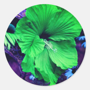 Green Hibiscus Flower Abstract Classic Round Sticker