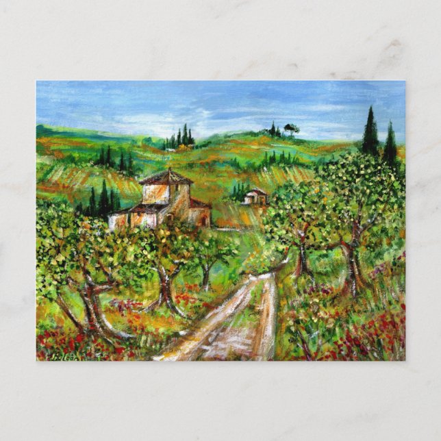 GREEN HILLS AND OLIVE TREES IN TUSCANY LANDSCAPE POSTCARD (Front)