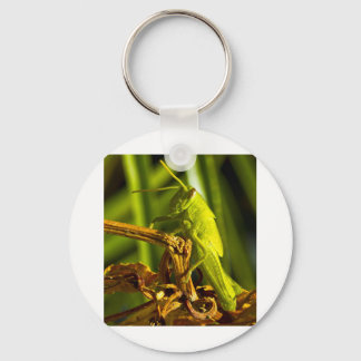 Green Hopper Key Ring