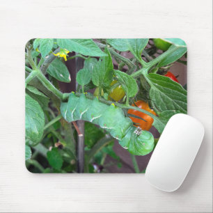 Green Hornworm On a Tomato Plant Mouse Pad