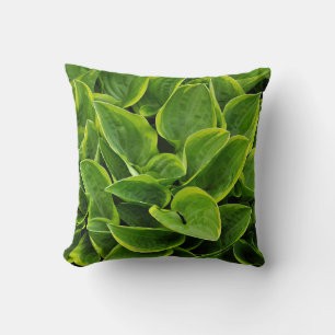 Green hosta leaves cushion