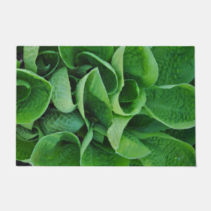 Green hosta leaves  doormat