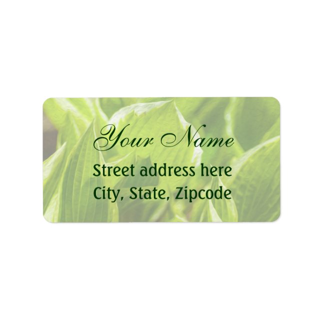 Green Hosta Leaves Label (Front)