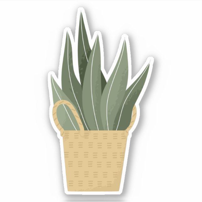 Green houseplant in a box transparent sticker (Front)