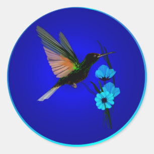 Green Hummingbird-Blue Flowers-Stickers Classic Round Sticker