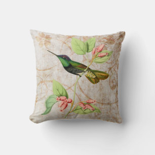 Green Hummingbird Vintage Illustration Cushion
