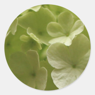 Green Hydrangea Sticker