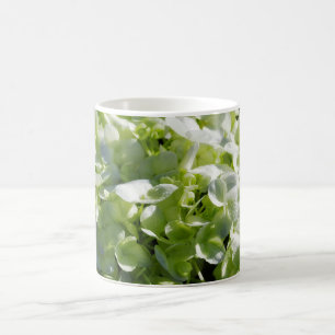 Green Hydrangeas Flowers Coffee Mug