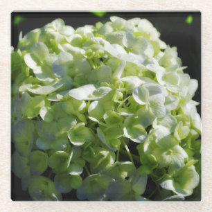 Green Hydrangeas Flowers Glass Coaster