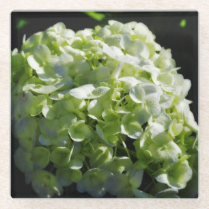 Green Hydrangeas Flowers Glass Coaster