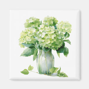 Green Hydrangeas Magnet