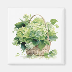 Green Hydrangeas Magnet