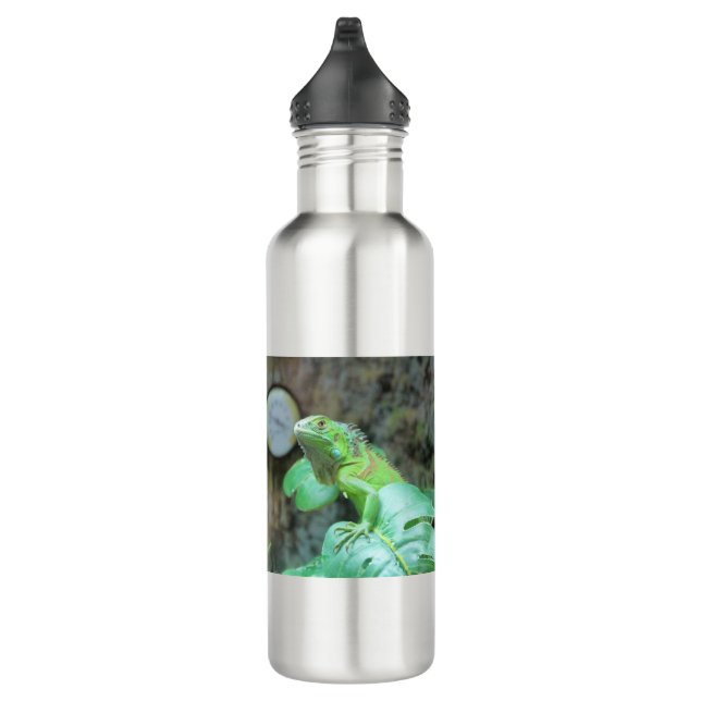 Green iguana 710 ml water bottle (Right)