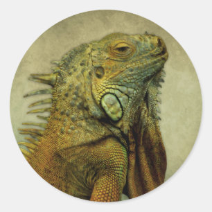 Green Iguana Classic Round Sticker