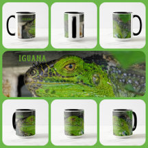 Green Iguana Close-up Photographic Personalised