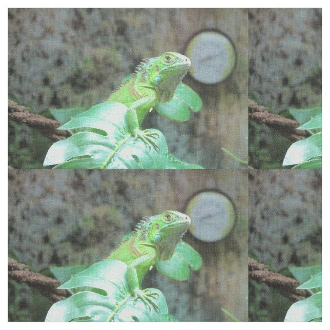 Green iguana fabric (Close Up)