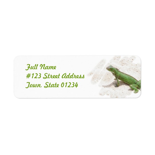Green Iguana Lizard Return Address Label (Front)
