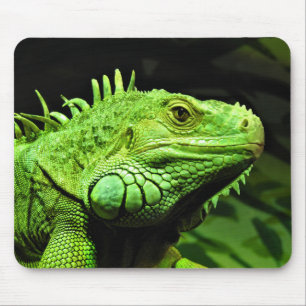 Green Iguana Mouse Pad
