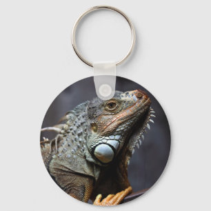 Green iguana portrait key ring