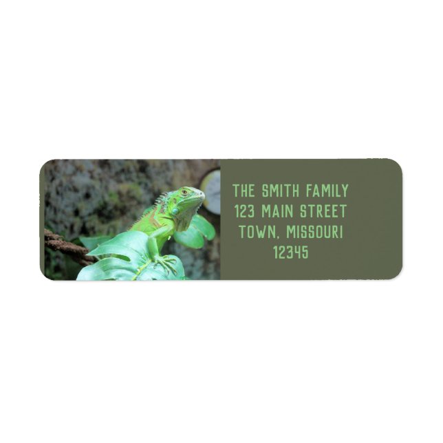 Green iguana return address label (Front)