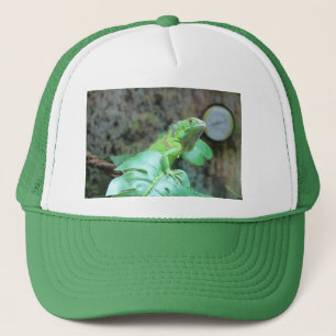 Green iguana  trucker hat