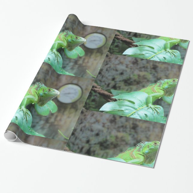Green  iguana  wrapping paper (Unrolled)